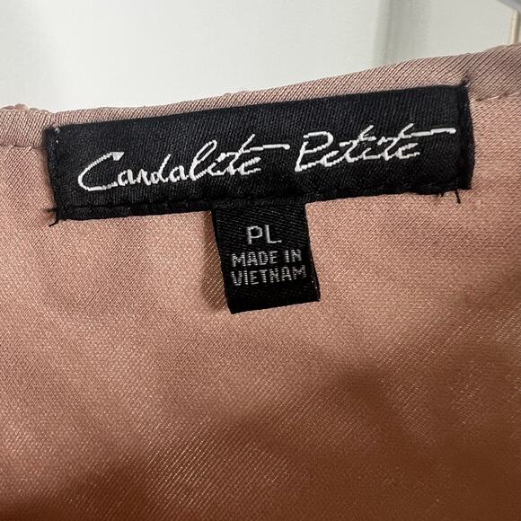 CANDALITE PETITE Sleeveless Lace Floral Evening Dress Mermaid Hem Pink Size LP - Picture 9 of 12